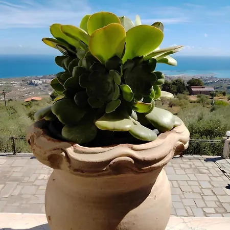 Bona Oda ve Kahvaltı Termini Imerese